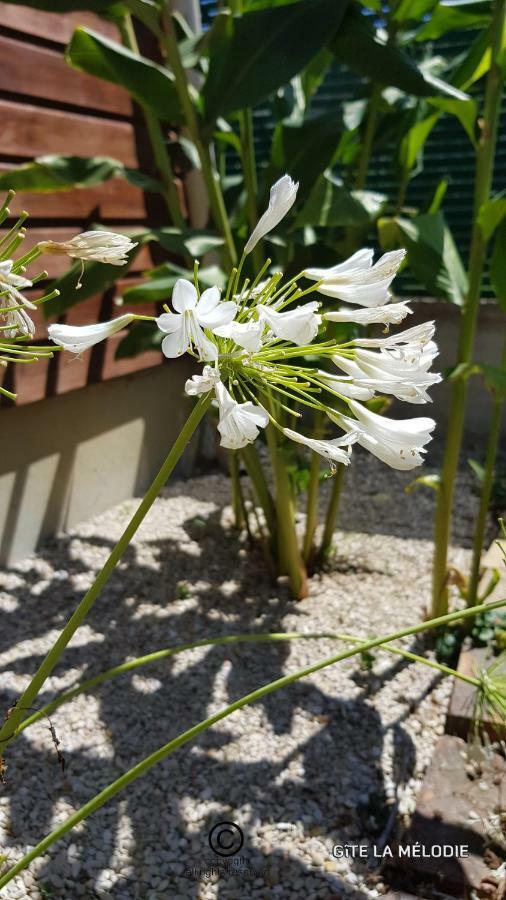 Gite La Melodie Longueville  Exterior foto